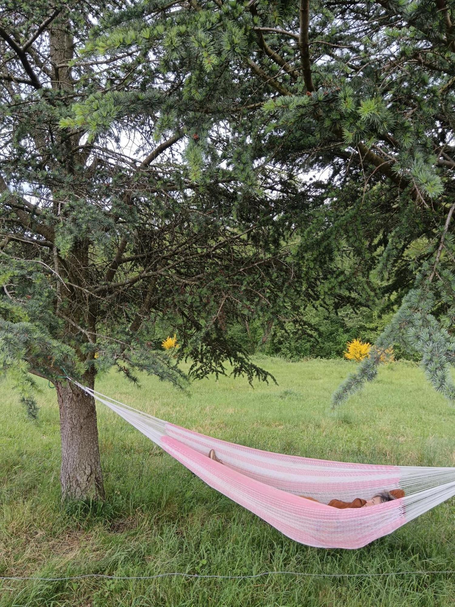 Ancienne Ferme Tranquille En Haute Ardeche Etables  Ngoại thất bức ảnh